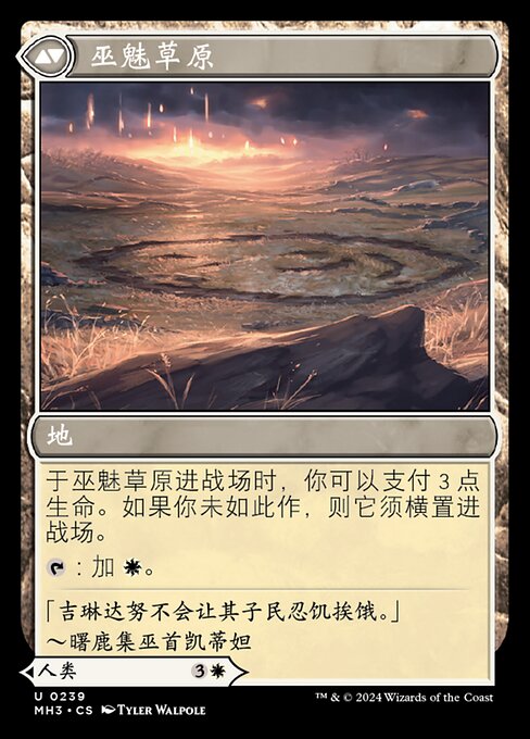 Witch Enchanter // Witch-Blessed Meadow - Verso