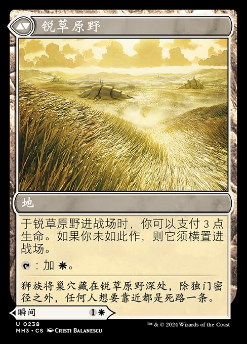 Razorgrass Ambush // Razorgrass Field - Verso