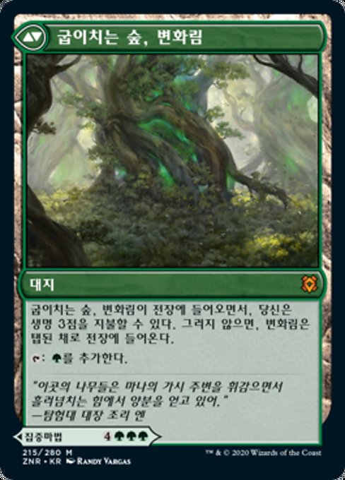 Turntimber Symbiosis // Turntimber, Serpentine Wood - Verso
