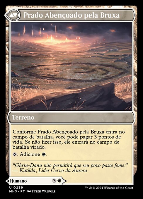 Witch Enchanter // Witch-Blessed Meadow - Verso