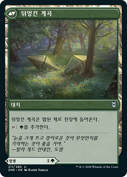 Tangled Florahedron // Tangled Vale - Verso