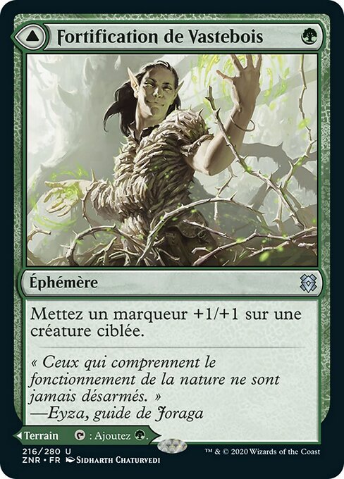 Vastwood Fortification // Vastwood Thicket