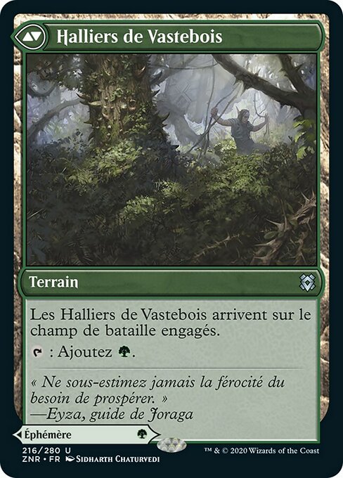 Vastwood Fortification // Vastwood Thicket - Verso