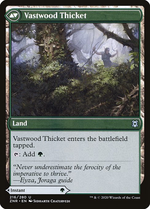 Vastwood Fortification // Vastwood Thicket - Verso