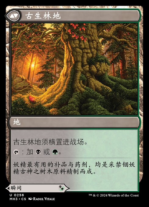 Revitalizing Repast // Old-Growth Grove - Verso