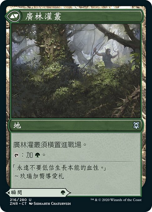 Vastwood Fortification // Vastwood Thicket - Verso