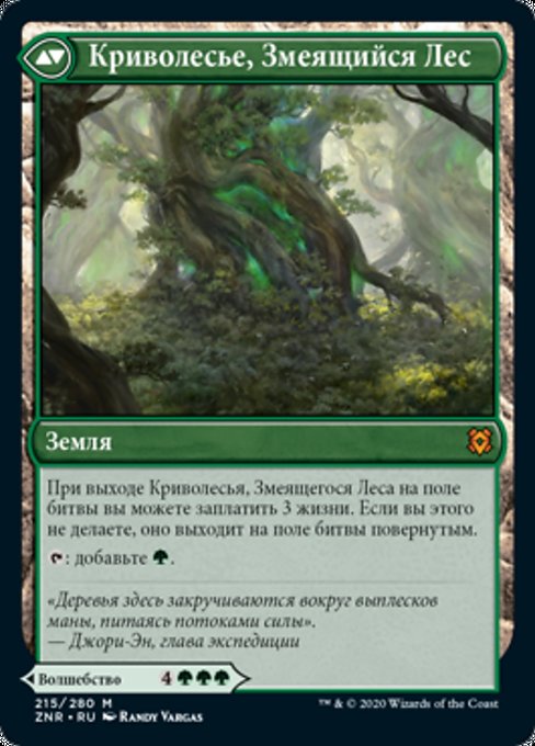 Turntimber Symbiosis // Turntimber, Serpentine Wood - Verso