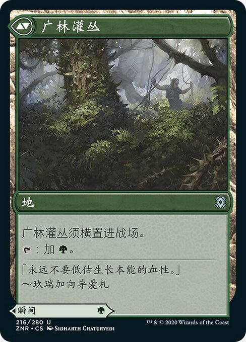 Vastwood Fortification // Vastwood Thicket - Verso