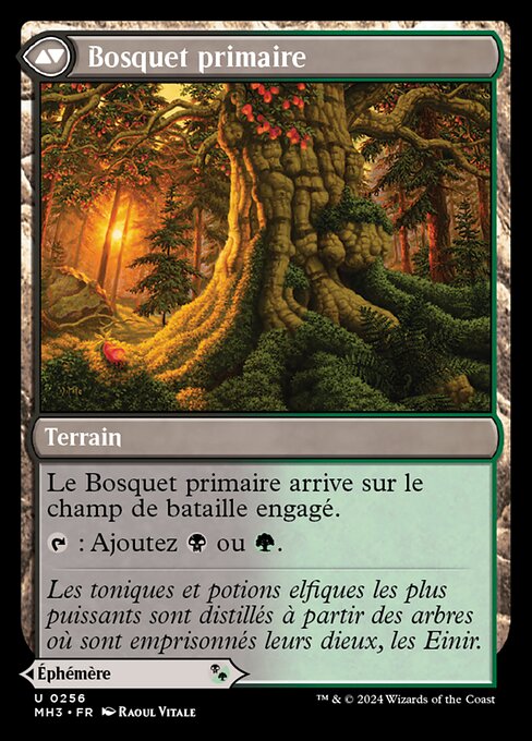 Revitalizing Repast // Old-Growth Grove - Verso