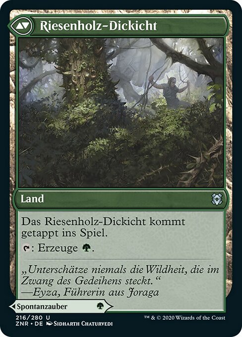 Vastwood Fortification // Vastwood Thicket - Verso