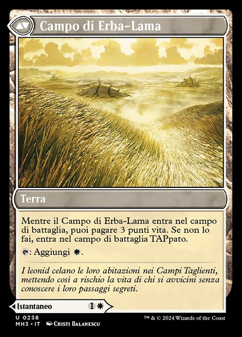 Razorgrass Ambush // Razorgrass Field - Verso