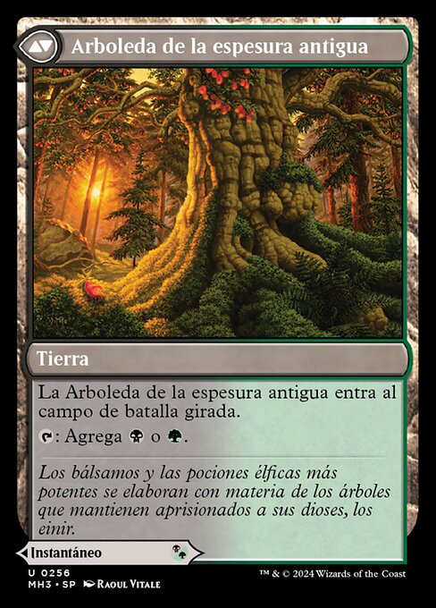 Revitalizing Repast // Old-Growth Grove - Verso
