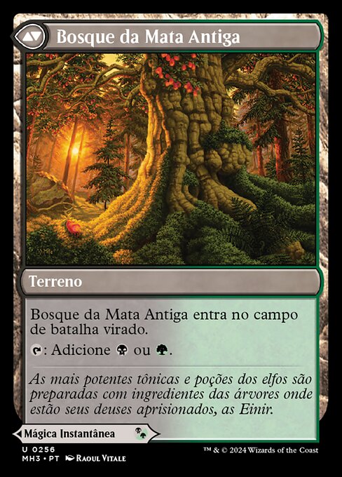 Revitalizing Repast // Old-Growth Grove - Verso
