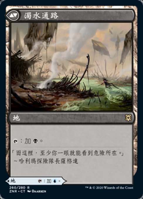 Clearwater Pathway // Murkwater Pathway - Verso