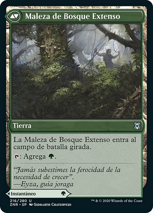 Vastwood Fortification // Vastwood Thicket - Verso