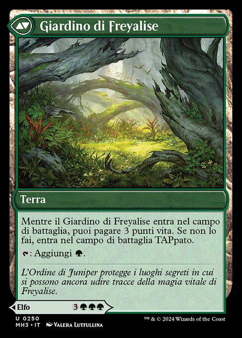 Disciple of Freyalise // Garden of Freyalise - Verso