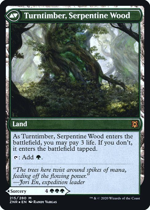 Turntimber Symbiosis // Turntimber, Serpentine Wood - Verso