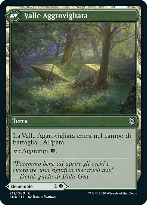 Tangled Florahedron // Tangled Vale - Verso