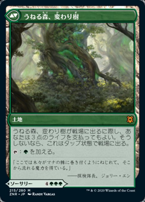 Turntimber Symbiosis // Turntimber, Serpentine Wood - Verso