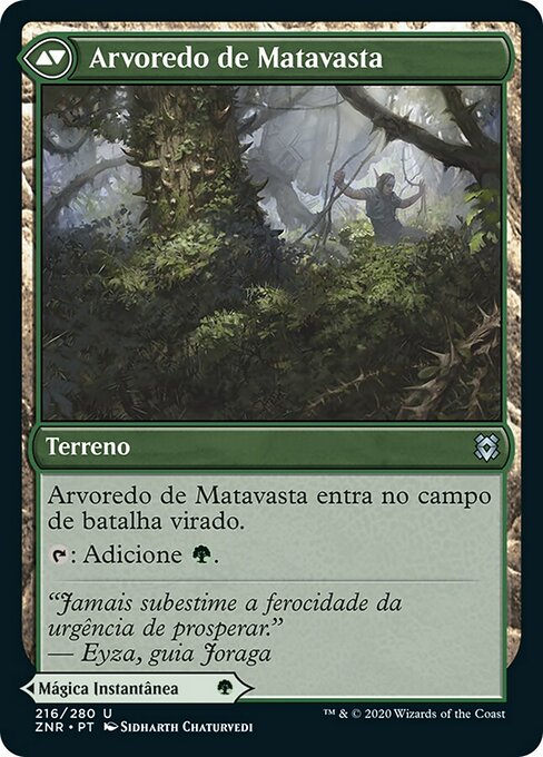 Vastwood Fortification // Vastwood Thicket - Verso