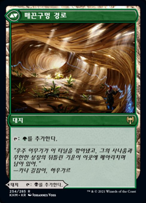Darkbore Pathway // Slitherbore Pathway - Verso