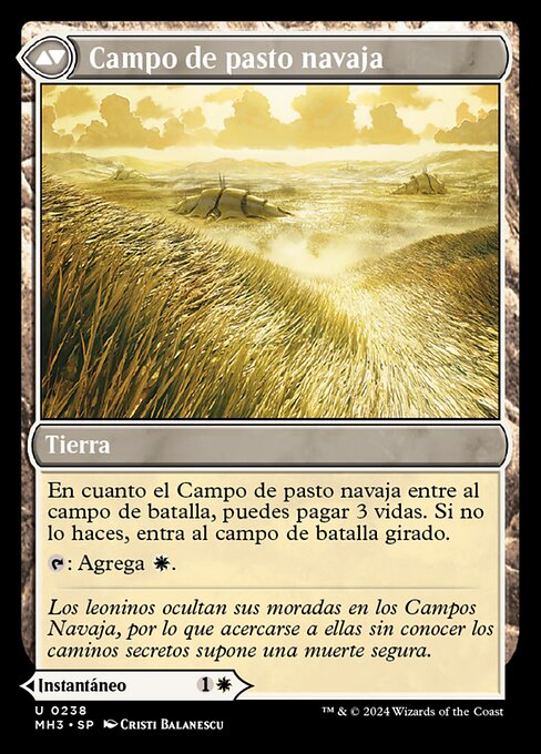 Razorgrass Ambush // Razorgrass Field - Verso