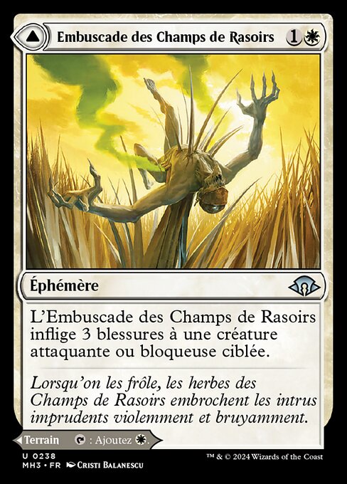 Razorgrass Ambush // Razorgrass Field