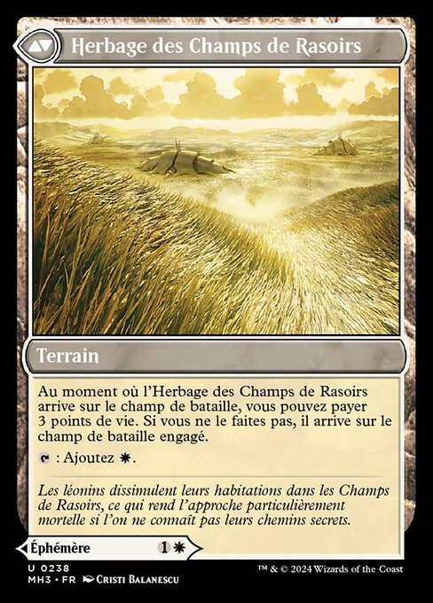 Razorgrass Ambush // Razorgrass Field - Verso
