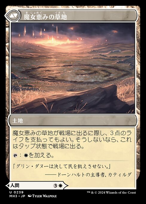Witch Enchanter // Witch-Blessed Meadow - Verso