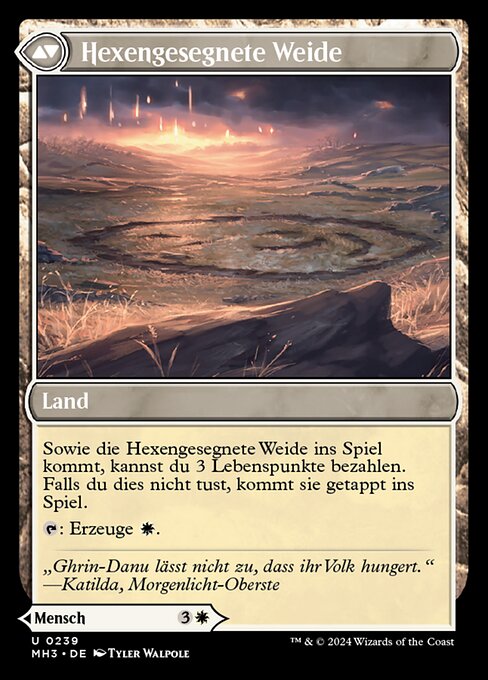 Witch Enchanter // Witch-Blessed Meadow - Verso