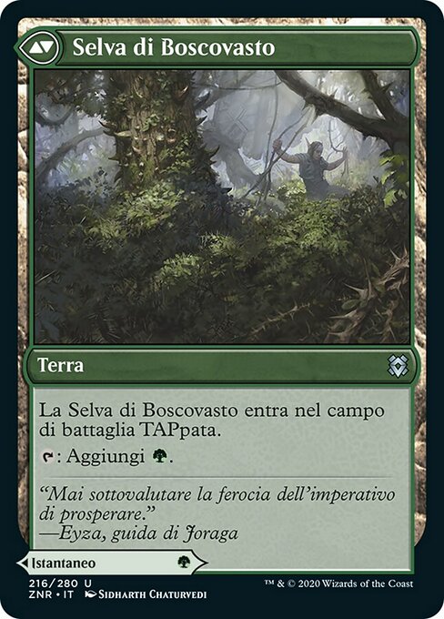 Vastwood Fortification // Vastwood Thicket - Verso