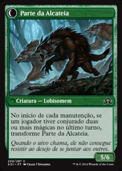 Solitary Hunter // One of the Pack - Verso