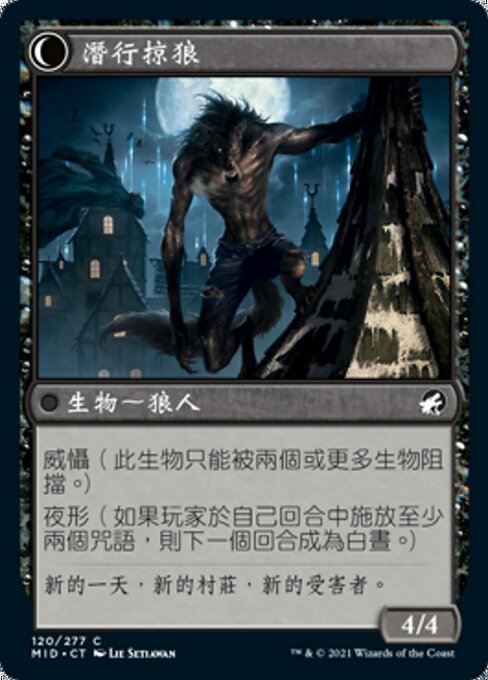 Shady Traveler // Stalking Predator - Verso