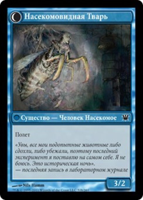 Delver of Secrets // Insectile Aberration - Verso