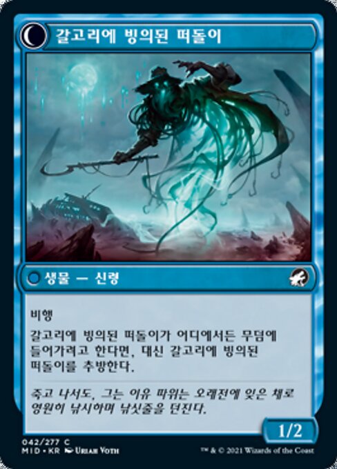 Baithook Angler // Hook-Haunt Drifter - Verso