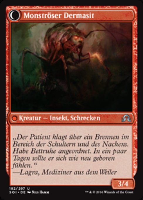 Skin Invasion // Skin Shedder - Verso