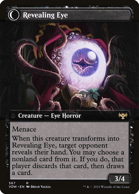 Concealing Curtains // Revealing Eye - Verso