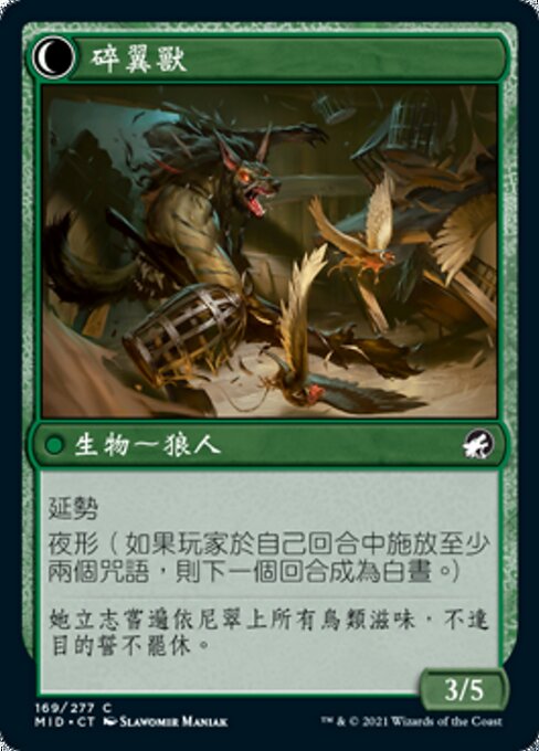 Bird Admirer // Wing Shredder - Verso