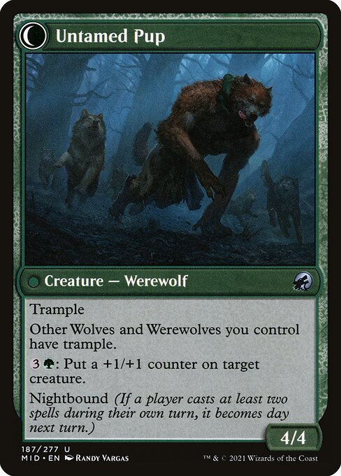 Hound Tamer // Untamed Pup - Verso