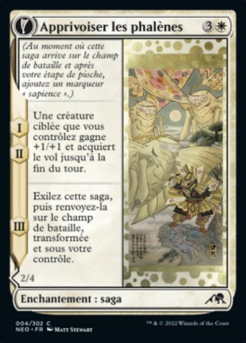 Befriending the Moths // Imperial Moth