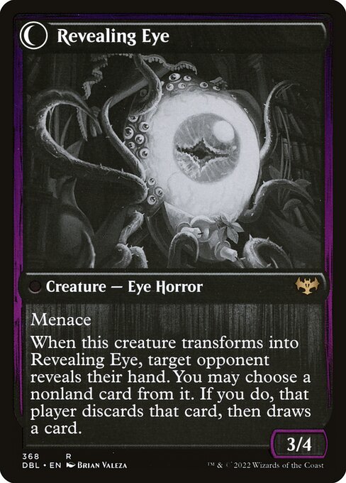 Concealing Curtains // Revealing Eye - Verso