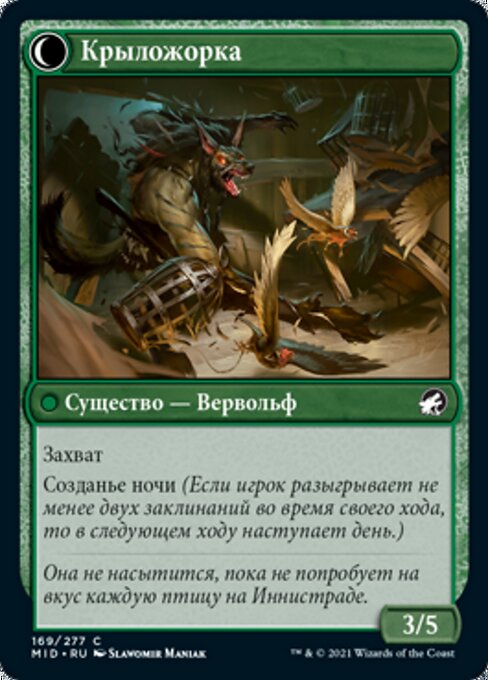 Bird Admirer // Wing Shredder - Verso