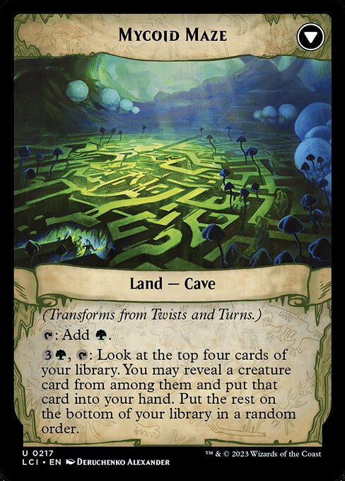 Twists and Turns // Mycoid Maze - Verso