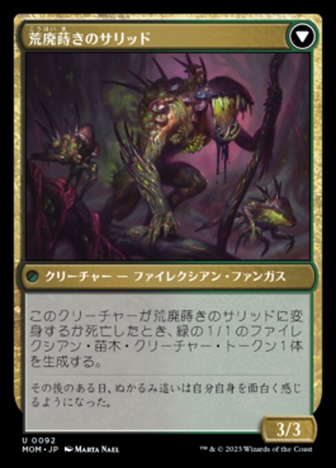Blightreaper Thallid // Blightsower Thallid - Verso