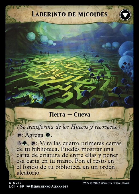 Twists and Turns // Mycoid Maze - Verso
