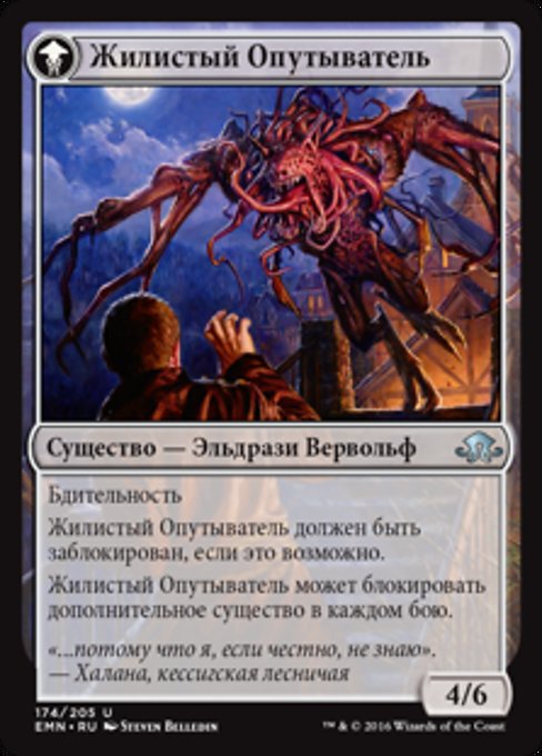 Tangleclaw Werewolf // Fibrous Entangler - Verso