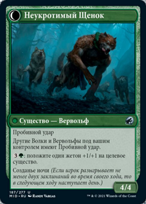 Hound Tamer // Untamed Pup - Verso