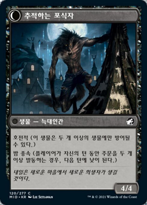 Shady Traveler // Stalking Predator - Verso
