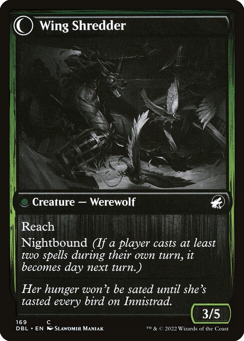 Bird Admirer // Wing Shredder - Verso