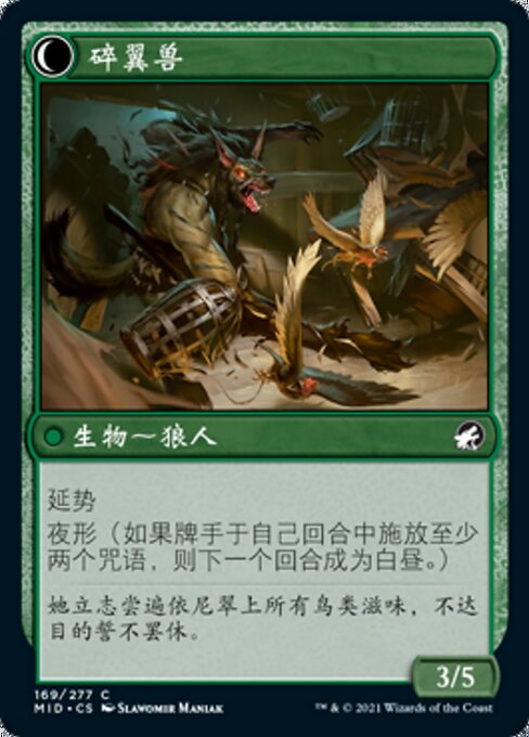 Bird Admirer // Wing Shredder - Verso
